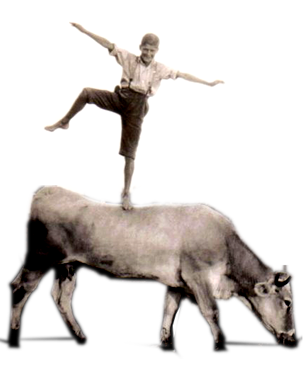 Balance